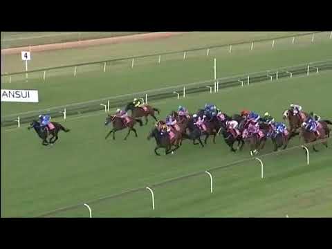 2017.11.26 World Sports Betting Merchants (RSA) - The Thinker