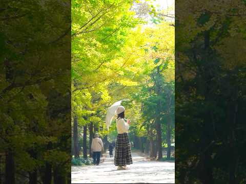 2025 영주 유튜브 영상 공모전 【우수】