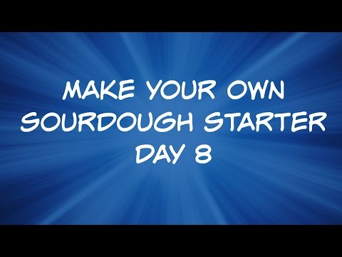 Make Your Own Sourdough Starter - Day 8