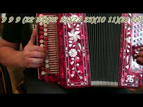 Ноты калины куст