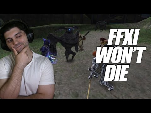 FFXI Teases New Zones Despite "Maintenance" Dev Claims