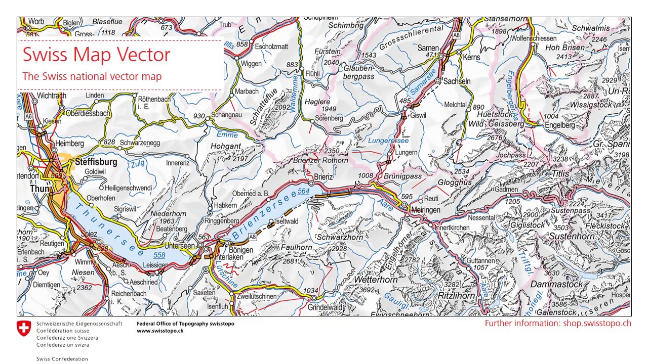 Insight into Swiss Map Vector