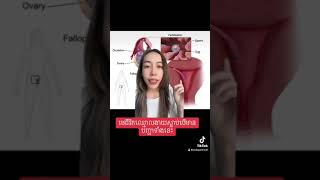 #មូលហេតុធ្វើអោយមេជីវិតឈ្មោលងាយស្លា.ប់…