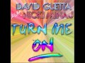 David Guetta - Turn Me On Feat. Nicki Minaj ...