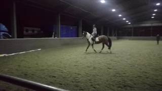 Emily and Fred Dressage Lesson (Vid 3)