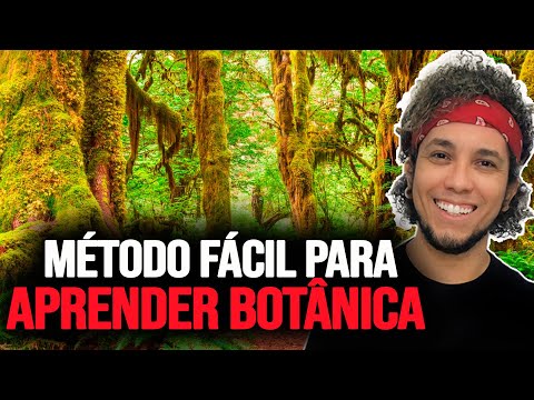 REINO VEGETAL  - INTRODUÇÃO À BOTÂNICA - GRUPOS VEGETAIS │Aula de Biologia para ENEM e Vestibulares