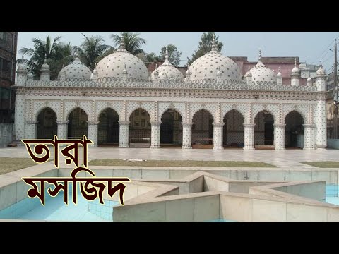 তারা মসজিদ | Tara Mosjid | বাংলার মসজিদ পরিচিতি