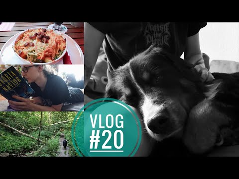 Sommer in Dresden | VLOG 20