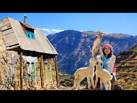 Rustic Village Life: Cooking Fish with Pomegranate Sauce in a Traditional Way on the Oven