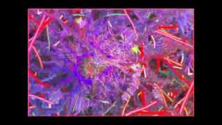 Omar Rodriguez-Lopez - Population Council's Wet Dream - Psychedelic Interludes # 50