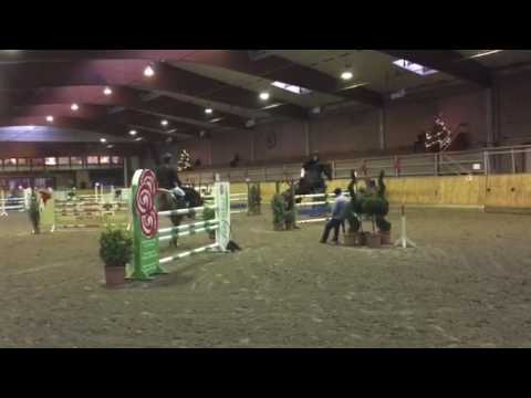 Hengststation Maas J. Hell - Verkaufspferd Canbertin