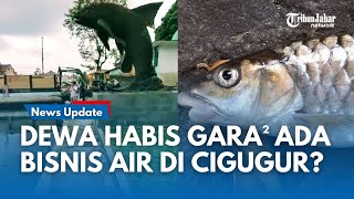 Download lagu Ekosistem Ikan Dewa Rusak, Diduga Ada Bisnis Air di Kolam Cigugur Kuningan: Bisa Masuk Pidana  mp3