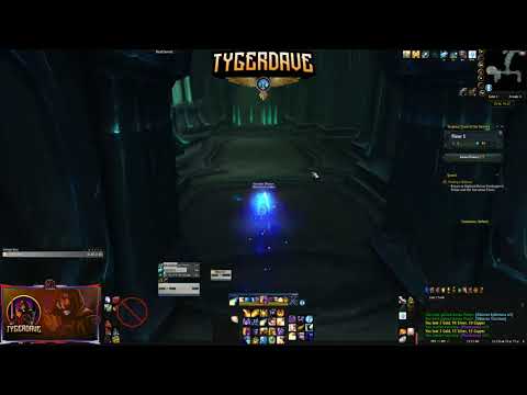 RUIN GAMING: Disc Priest Torghast run