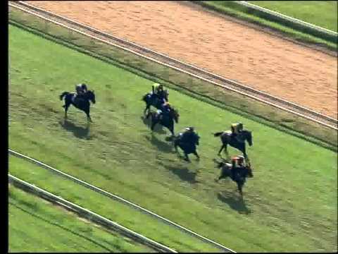 2013-01-02 (T01&T02) Combined