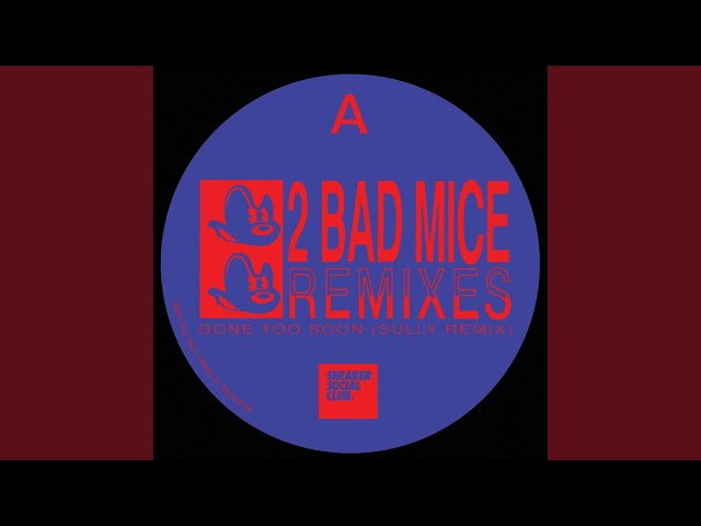 The Musical Journey of 2 Bad Mice: From Their Beginnings to their Most Famous Albums
