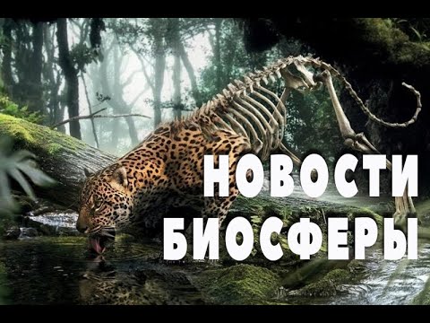 Новости Биосферы. Экология. Человек и мир. выпуск 1