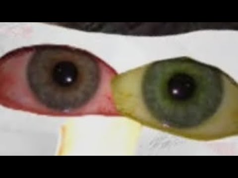 Deltarune - deal gone wrong remix