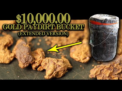 $10,000.00 Gold Paydirt Bucket (Extended Version - Gold Panning ASMR)