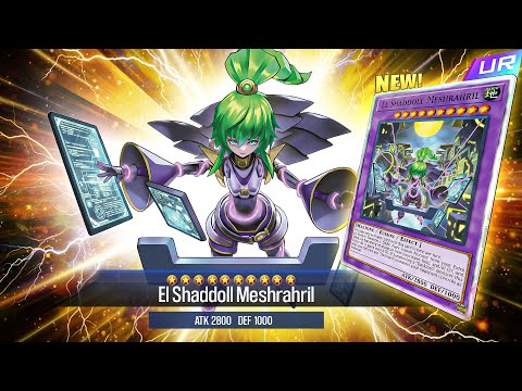 Shaddoll Is BACK!! - New SHADDOLL Suopport Is INSAINE!!