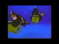 What If Disney Was Even More Commercial Splash VHS Opening