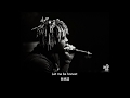 中文翻譯 解析 Juice WRLD Wasted Feat Lil Uzi Vert 浪費