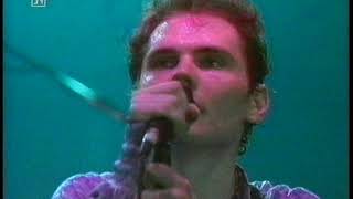 Smashing Pumpkins - Silverfuck (Live)