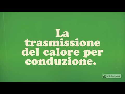 Helminth che questo video I parassiti che influenzano occhi