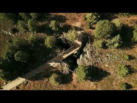 Ruta paisajística del Sabinar (Reserva Natural Sabinar de Calatañazor - Soria)