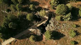 Ruta paisajística del Sabinar (Reserva Natural Sabinar de Calatañazor - Soria)