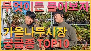 무엇이든 물어보자! 가을시장 가장많이하는 질문 TOP10! #정원 #귀농 #꽃