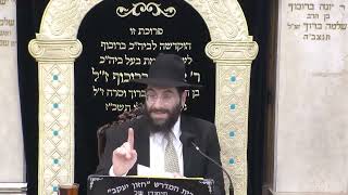 הרב משה יוסף  • קדושת תפילין של רשי ורבנו תם