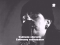 Lydia Lunch - Cisco Sunset (live in Poland)