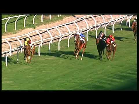 Galoppo 23/11/2020 - 4ª corsa