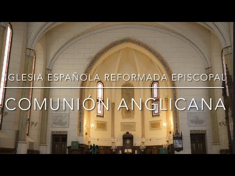 Himno nº 249. Amoroso nos convida