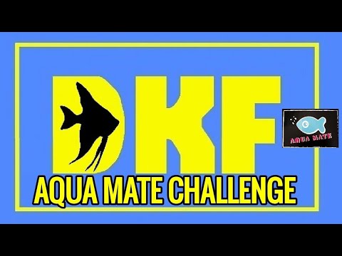 Aqua Mate Challenge
