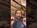Video Thumbnail for Walleye Are Attracted To Rattle Crank Baits Like This