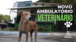 Monte Cabrão, na Área Continental de Santos, ganha primeiro consultório veterinário