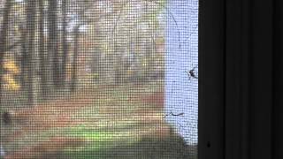 Joe Klodzinski - Interlude (You Already Know).wmv