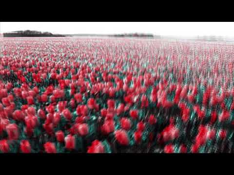 ✵  LOLAHO  ✵  Sherali Alimov