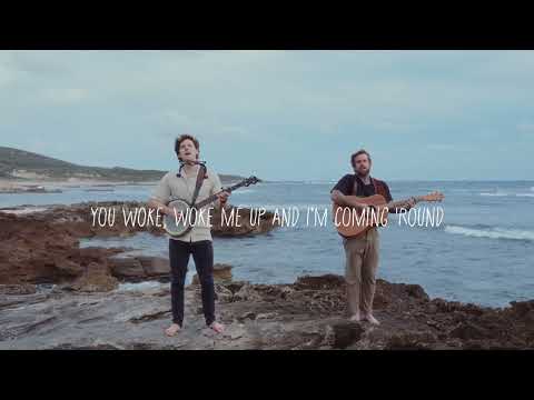 Salt Tree - Cold Hard Ground (Official Lyric Video)