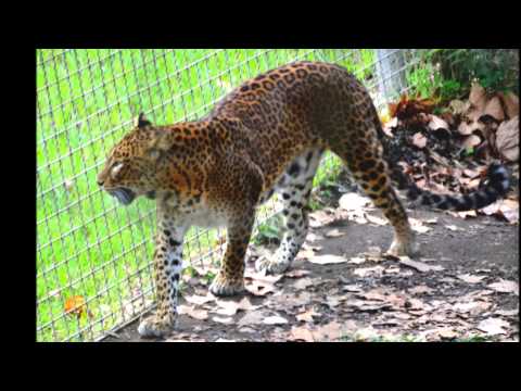 Прогулки по Барселоне - день третий