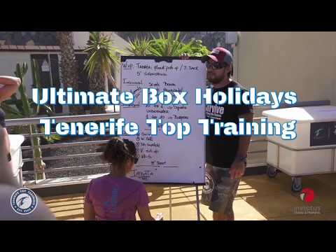 BOX HOLIDAYS - YOUR SUMMER NEVER ENDS