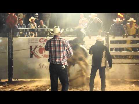 Touro Pesadelo, G.A Rodeios.