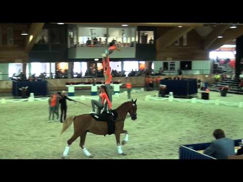 Junior Worlds Ermelo 2015 - Junior Team NED