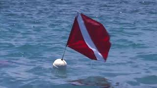 DAN Dive Flag Rules