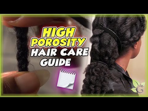 The BEST HAIR CARE TIPS for HIGH POROSITY hair