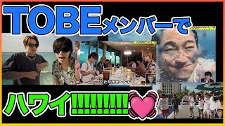 TOBEメンバーでハワイ!!!!【Number_I】【岸優太】【TOBE】【三宅健】【平野紫耀】【神宮寺勇太】【北山宏光】【滝沢秀明】【IMP.】 〜切り抜き〜