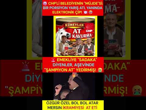 Bülent Taşgın Analiz 29