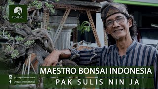 Download lagu Bersama Sang Maestro Bonsai Indonesia - Pak Sulis Nin Ja mp3 Download lagu Bersama Sang Maestro Bonsai Indonesia - Pak Sulis Nin Ja mp3