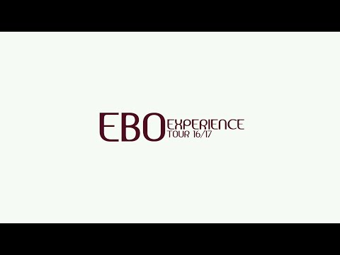 Electro Beat Orchestra - EBO EXPERIENCE